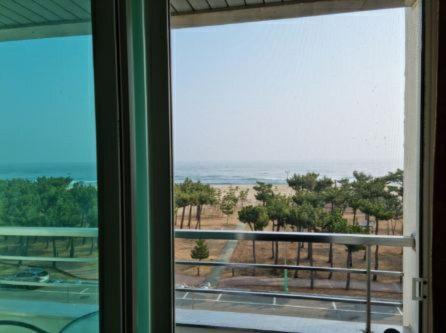 יאנגיאנג Pine Beach מראה חיצוני תמונה